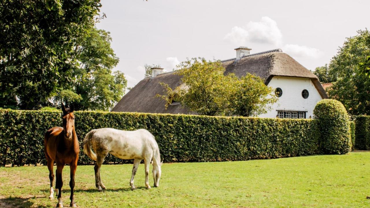 Bed and Breakfast Truyenhof Bree Zewnętrze zdjęcie